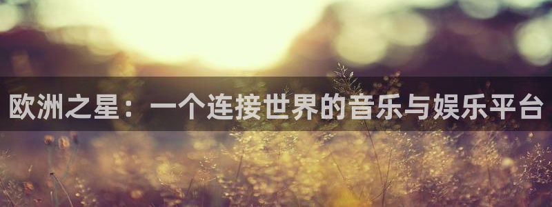 赢乐彩票体育app下载：欧洲之星：一个连接世界的音乐与娱乐平台