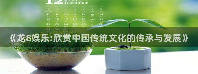 赢乐彩票代理注册官网入口：《龙8娱乐:欣赏中国传统文化的传承与发展》