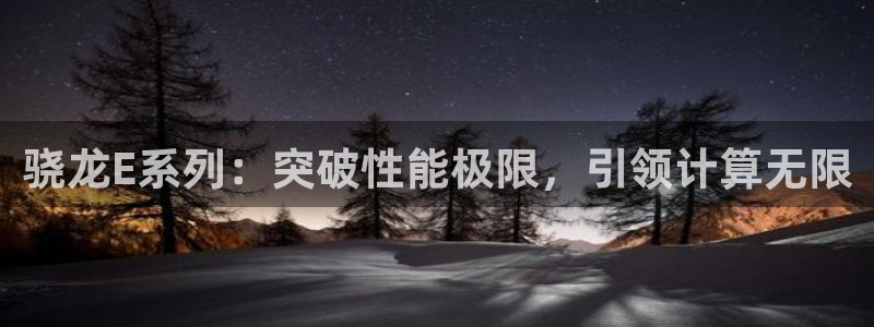 赢乐彩票2体育：骁龙E系列：突破性能极限，引领计算无限