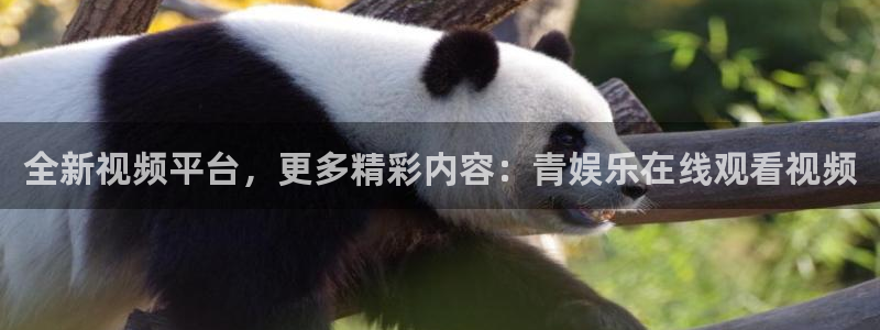 赢乐彩票平台注册：全新视频平台，更多精彩内容：青娱乐在线观看视频