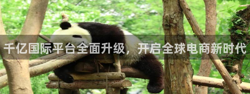 赢乐彩票kgame：千亿国际平台全面升级，开启全球电商新时代