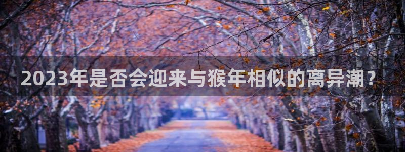 赢乐彩票体育论坛：2023年是否会迎来与猴年相似的离异潮？