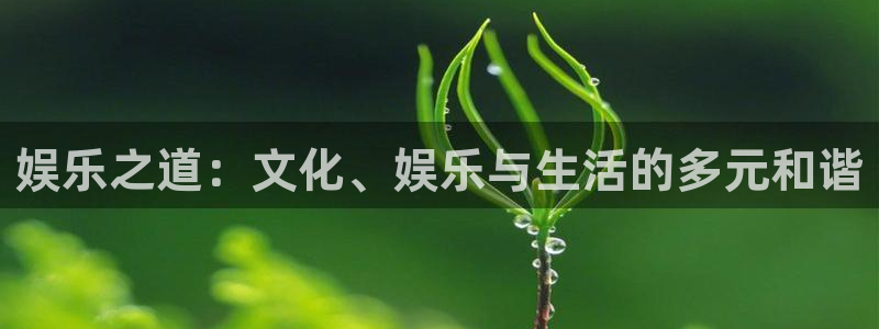 赢乐彩票体育代理申请流程：娱乐之道：文化、娱乐与生活的多元和谐