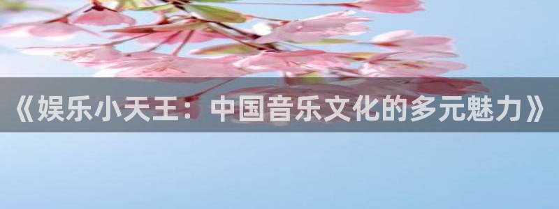 赢乐彩票官网：《娱乐小天王：中国音乐文化的多元魅力》