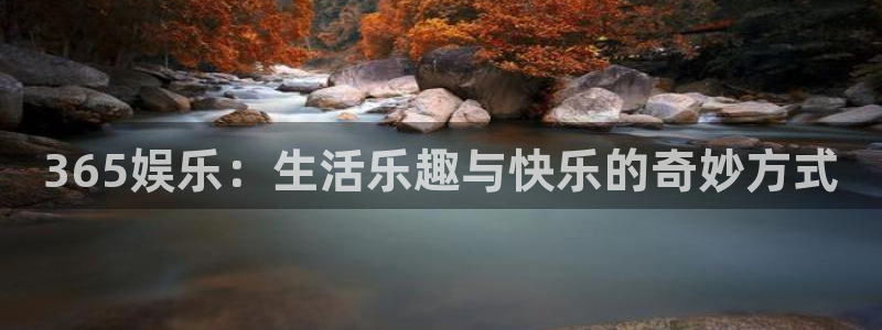 赢乐彩票官网注册：365娱乐：生活乐趣与快乐的奇妙方式