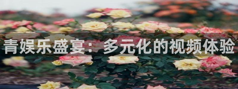 赢乐彩票3官网：青娱乐盛宴：多元化的视频体验