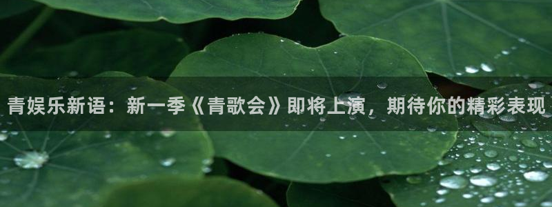 赢乐彩票体育注册平台：青娱乐新语：新一季《青歌会》即将上演，期待你的精彩表现