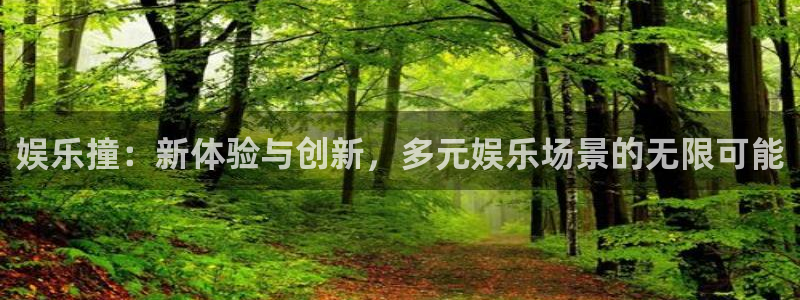赢乐彩票体育f开号：娱乐撞：新体验与创新，多元娱乐场景的无限可能