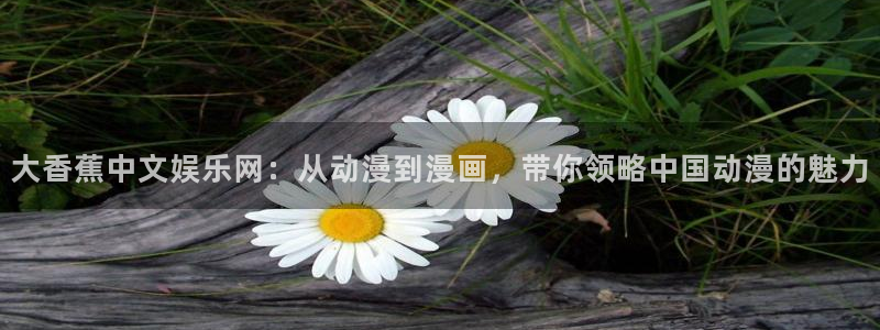赢乐彩票能源：大香蕉中文娱乐网：从动漫到漫画，带你领略中国动漫的魅力