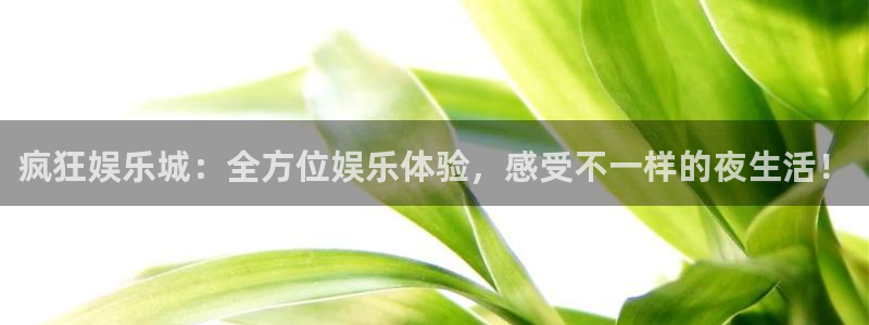 赢乐彩票体育f开号：疯狂娱乐城：全方位娱乐体验，感受不一样的夜生活！