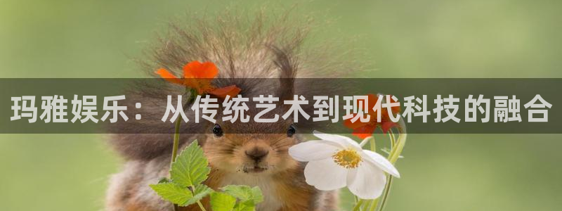 赢乐彩票官网：玛雅娱乐：从传统艺术到现代科技的融合