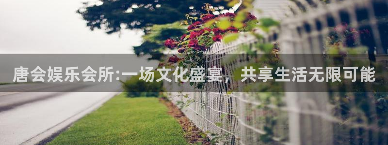 赢乐彩票体育平台开号链接：唐会娱乐会所:一场文化盛宴，共享生活无限可能
