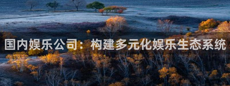 赢乐彩票能源：国内娱乐公司：构建多元化娱乐生态系统