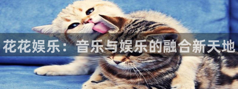 赢乐彩票体育注册平台：花花娱乐：音乐与娱乐的融合新天地