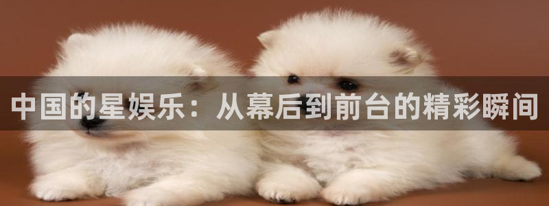 www.赢乐彩票体育.com：中国的星娱乐：从幕后到前台的精彩瞬间