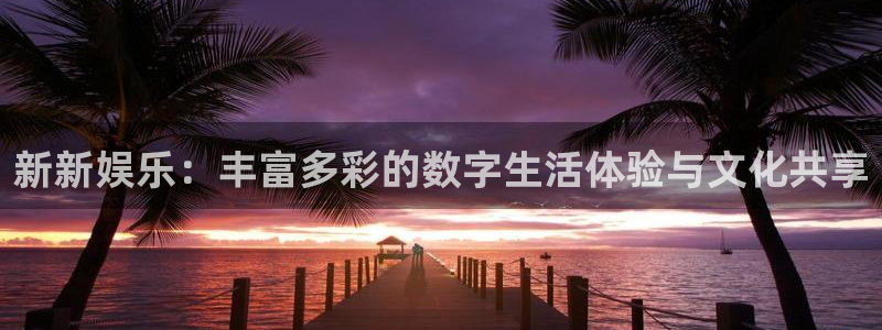 赢乐彩票体育和杏耀是哪个公司的：新新娱乐：丰富多彩的数字生活体验与文化共享