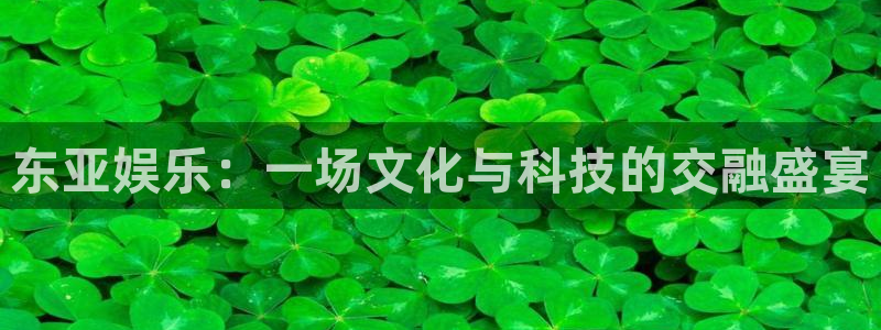 赢乐彩票体育官网登录：东亚娱乐：一场文化与科技的交融盛宴