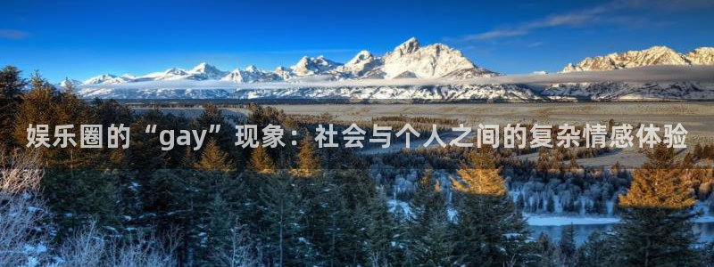 赢乐彩票体育娱乐注册链接：娱乐圈的“gay”现象：社会与个人之间的复杂情感体验