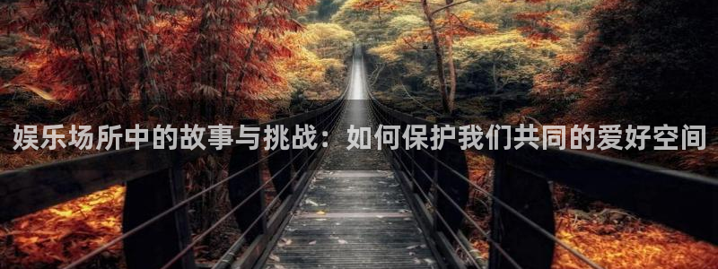 赢乐彩票体育官网注册：娱乐场所中的故事与挑战：如何保护我们共同的爱好空间