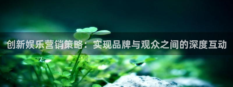 赢乐彩票2平台登录：创新娱乐营销策略：实现品牌与观众之间的深度互动