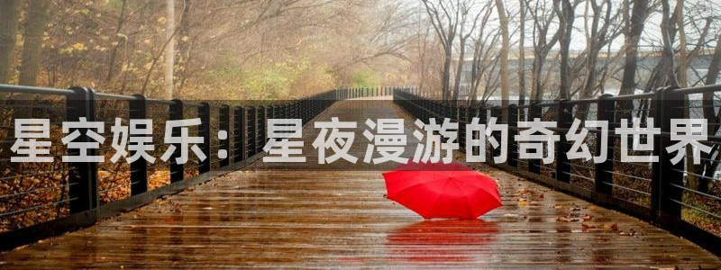 赢乐彩票凯捷开号链接：星空娱乐：星夜漫游的奇幻世界