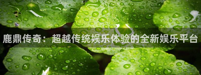 赢乐彩票集团：鹿鼎传奇：超越传统娱乐体验的全新娱乐平台