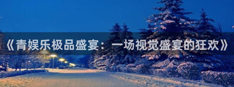 赢乐彩票平台：《青娱乐极品盛宴：一场视觉盛宴的狂欢》