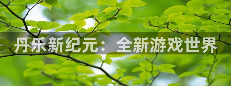 赢乐彩票登陆：丹乐新纪元：全新游戏世界