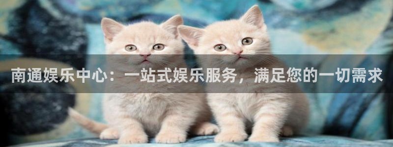 佛山市南海赢乐彩票机电仪器有限公司：南通娱乐中心：一站式娱乐服务，满足您的一切需