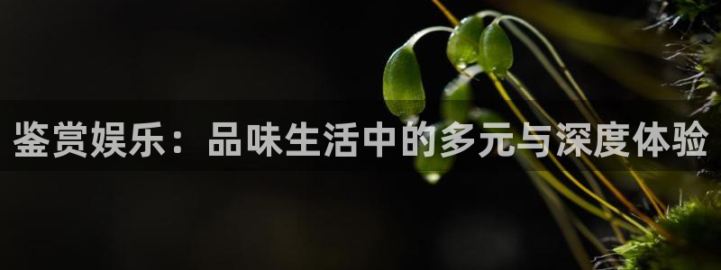 赢乐彩票2代理注册：鉴赏娱乐：品味生活中的多元与深度体验