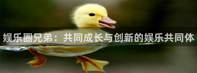 赢乐彩票平台总代理：娱乐圈兄弟：共同成长与创新的娱乐共同体